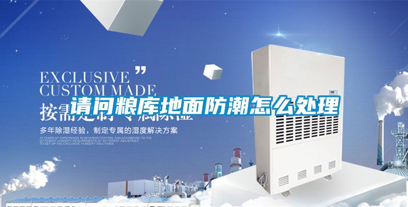 请问粮库地面防潮怎么处理