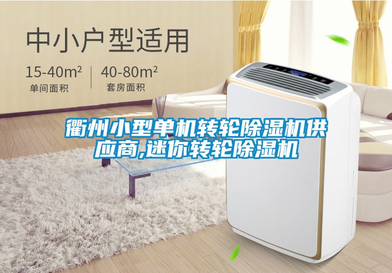衢州小型单机转轮除湿机供应商,迷你转轮除湿机