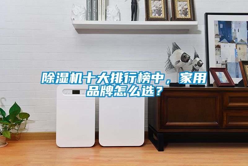 除湿机十大排行榜中，家用品牌怎么选？
