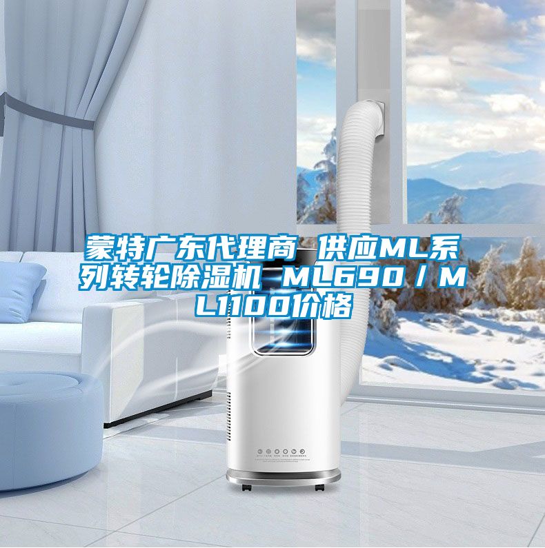 蒙特广东代理商 供应ML系列转轮除湿机 ML690／ML1100价格