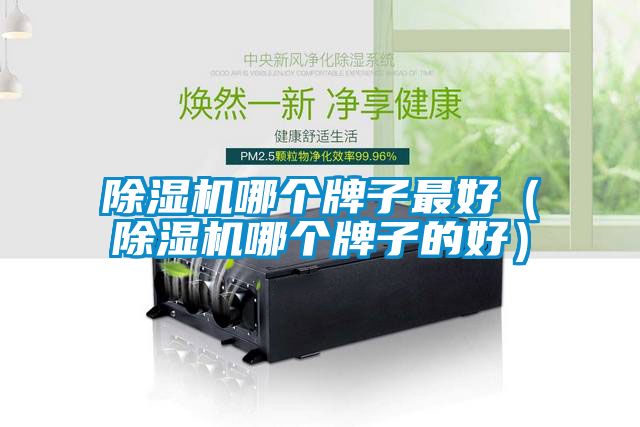 除湿机哪个牌子最好（除湿机哪个牌子的好）