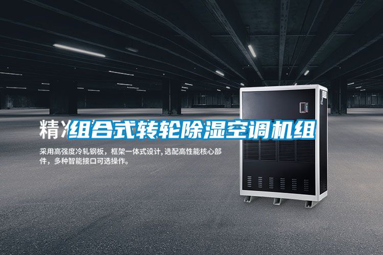 组合式转轮除湿空调机组