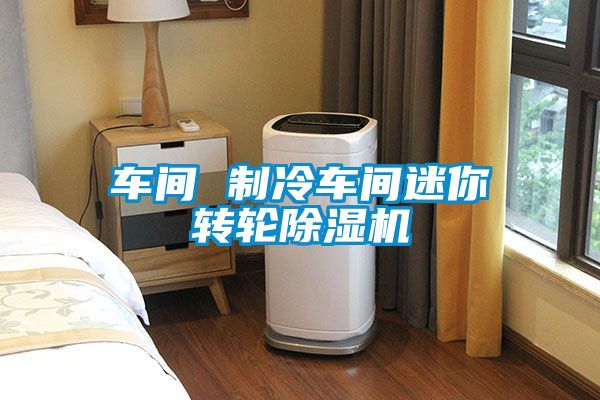 车间 制冷车间迷你转轮除湿机