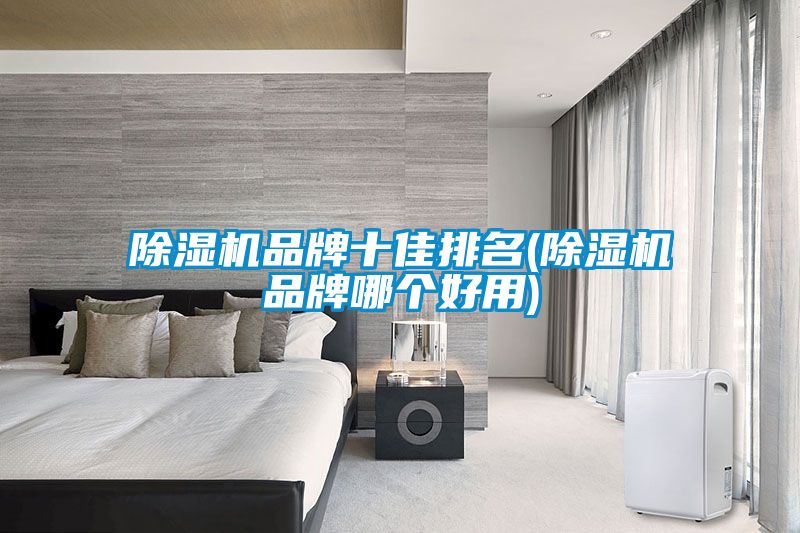 除湿机品牌十佳排名(除湿机品牌哪个好用)