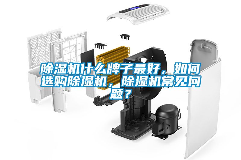 除湿机什么牌子最好，如何选购除湿机，除湿机常见问题？