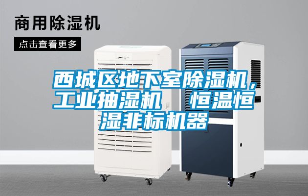 西城区地下室除湿机，工业抽湿机  恒温恒湿非标机器