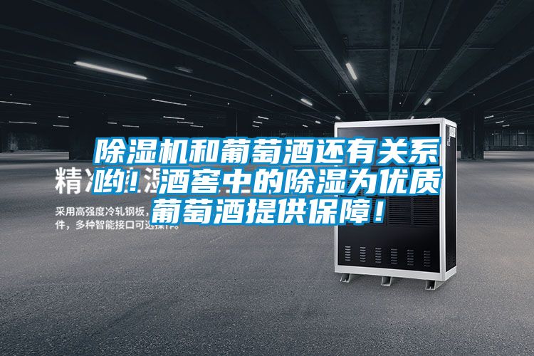 除湿机和葡萄酒还有关系哟！酒窖中的除湿为优质葡萄酒提供保障！