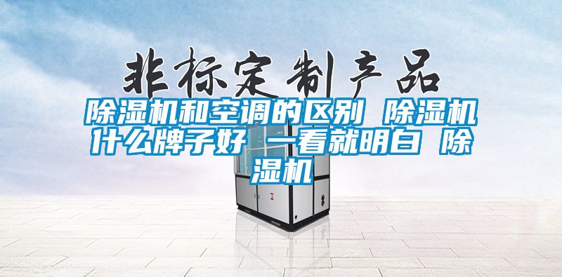 除湿机和空调的区别 除湿机什么牌子好 一看就明白 除湿机
