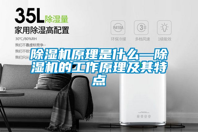 除湿机原理是什么—除湿机的工作原理及其特点