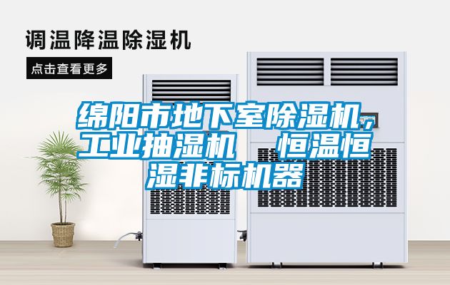 绵阳市地下室除湿机，工业抽湿机  恒温恒湿非标机器
