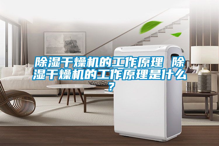 除湿干燥机的工作原理 除湿干燥机的工作原理是什么？