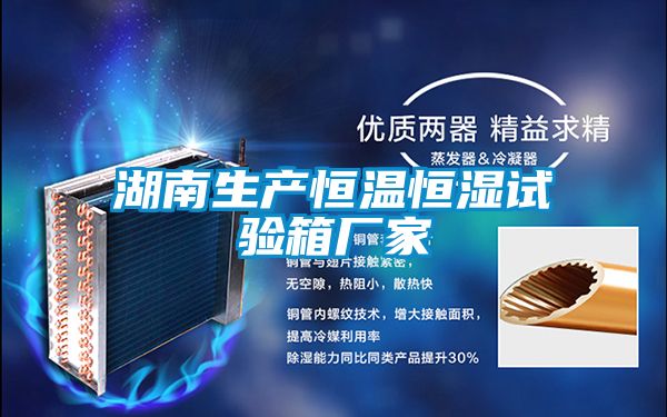 湖南生产恒温恒湿试验箱厂家