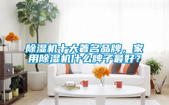 除湿机十大著名品牌，家用除湿机什么牌子最好？
