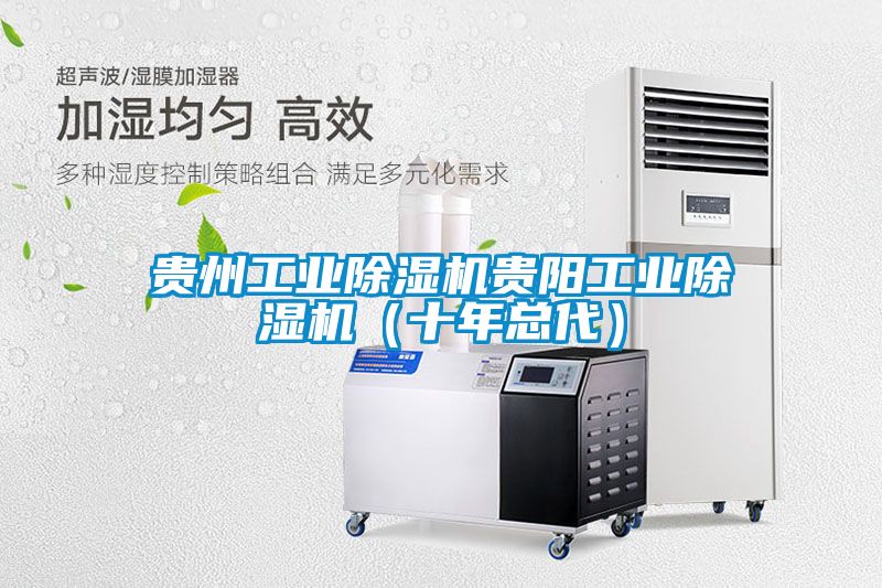 贵州工业除湿机贵阳工业除湿机（十年总代）