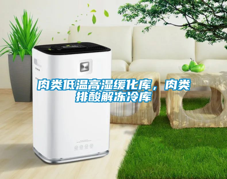 肉类低温高湿缓化库，肉类排酸解冻冷库