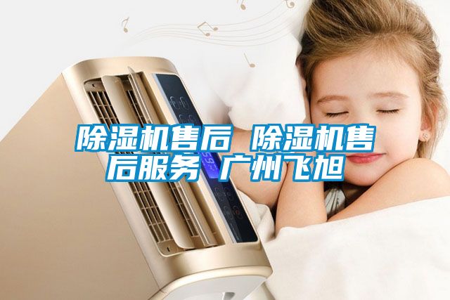 除湿机售后 除湿机售后服务 广州飞旭
