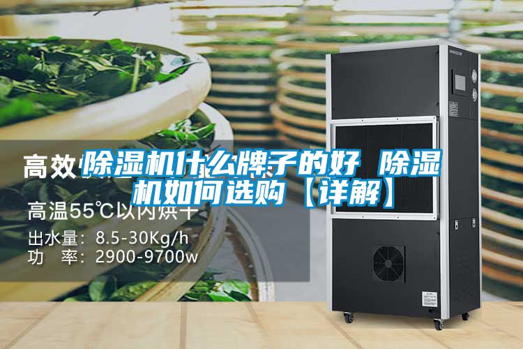 除湿机什么牌子的好 除湿机如何选购【详解】