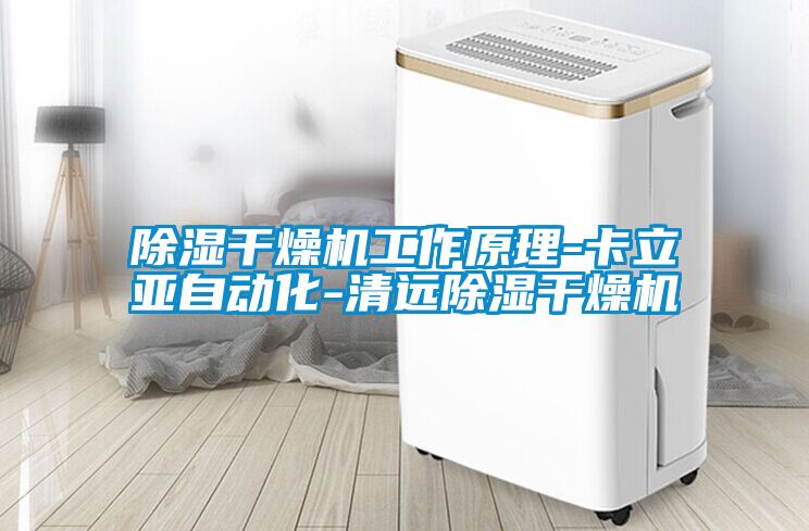 除湿干燥机工作原理-卡立亚自动化-清远除湿干燥机
