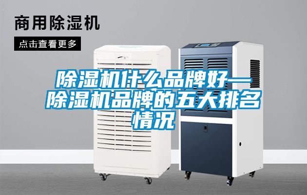 除湿机什么品牌好—除湿机品牌的五大排名情况