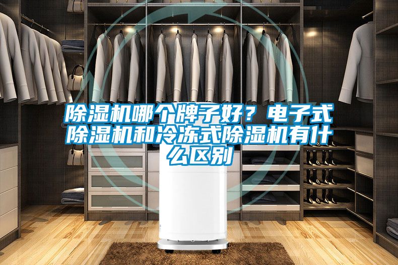 除湿机哪个牌子好？电子式除湿机和冷冻式除湿机有什么区别