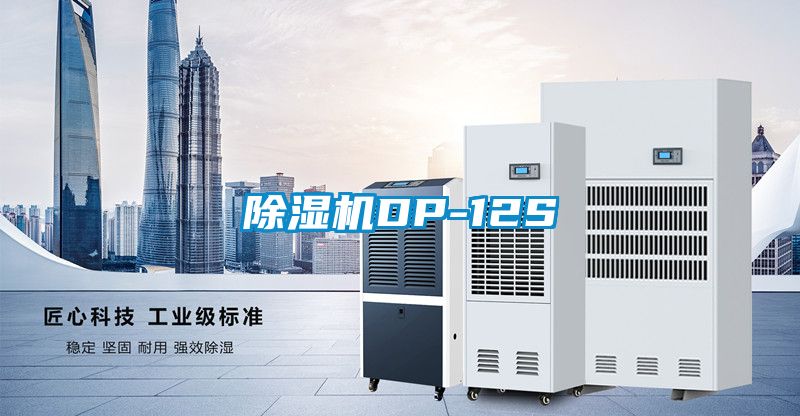 除湿机DP-12S