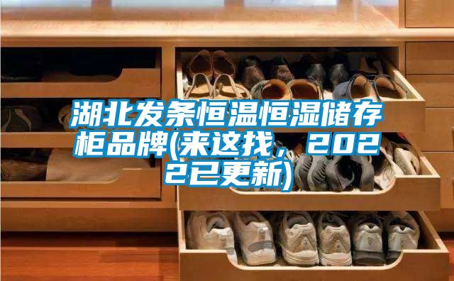 湖北发条恒温恒湿储存柜品牌(来这找，2022已更新)