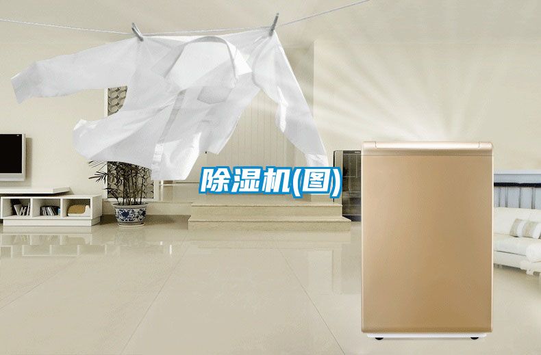 除湿机(图)