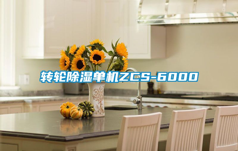 转轮除湿单机ZCS-6000