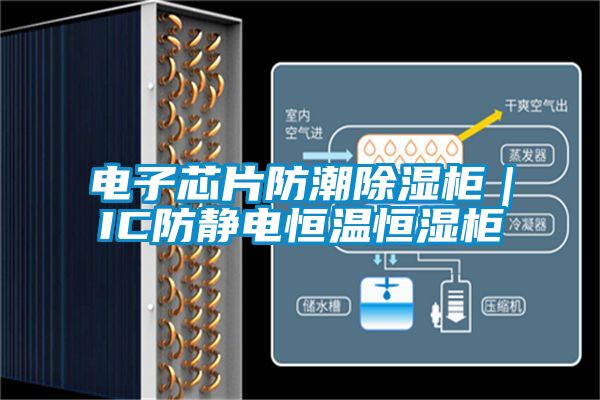 电子芯片防潮除湿柜｜IC防静电恒温恒湿柜