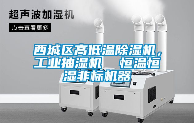 西城区高低温除湿机，工业抽湿机  恒温恒湿非标机器