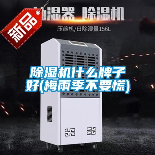 除湿机什么牌子好(梅雨季不要慌)