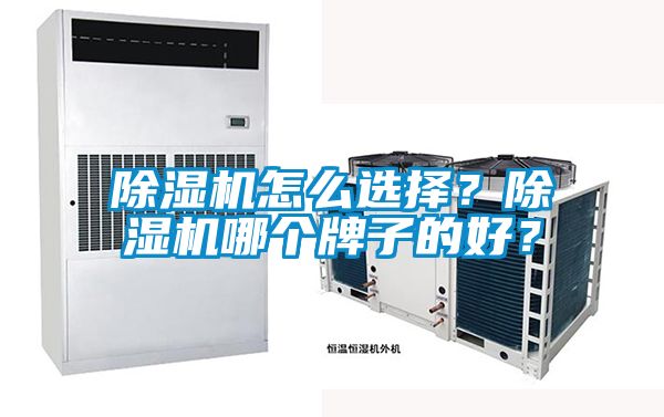 除湿机怎么选择？除湿机哪个牌子的好？