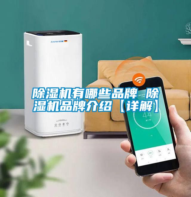 除湿机有哪些品牌 除湿机品牌介绍【详解】