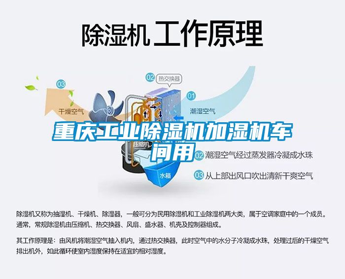 重庆工业除湿机加湿机车间用