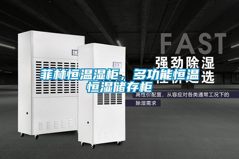 菲林恒温湿柜，多功能恒温恒湿储存柜