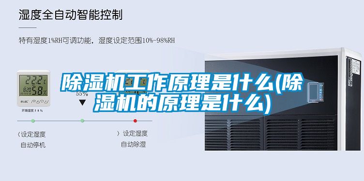除湿机工作原理是什么(除湿机的原理是什么)
