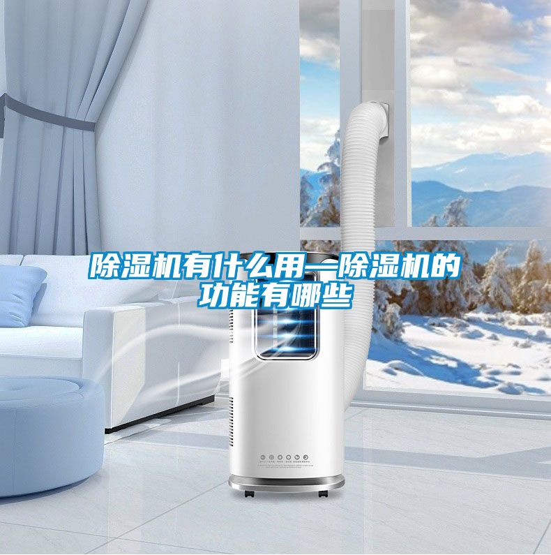 除湿机有什么用—除湿机的功能有哪些