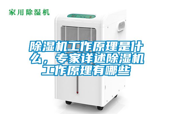 除湿机工作原理是什么，专家详述除湿机工作原理有哪些