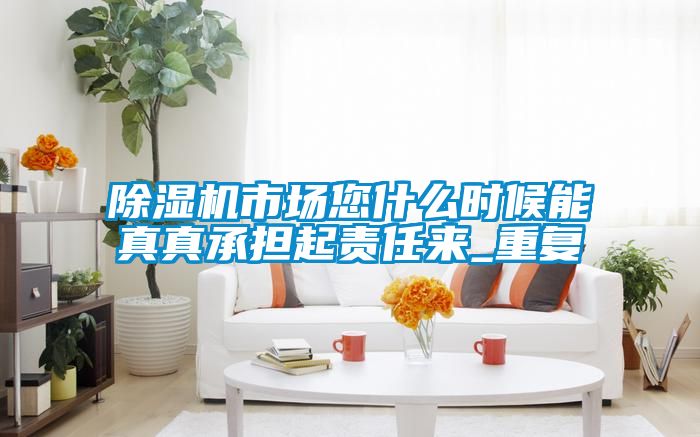 除湿机市场您什么时候能真真承担起责任来_重复