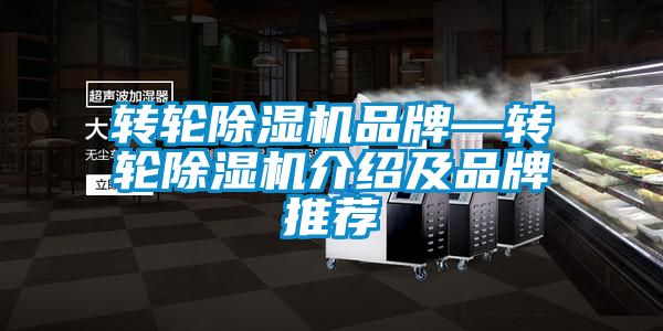 转轮除湿机品牌—转轮除湿机介绍及品牌推荐