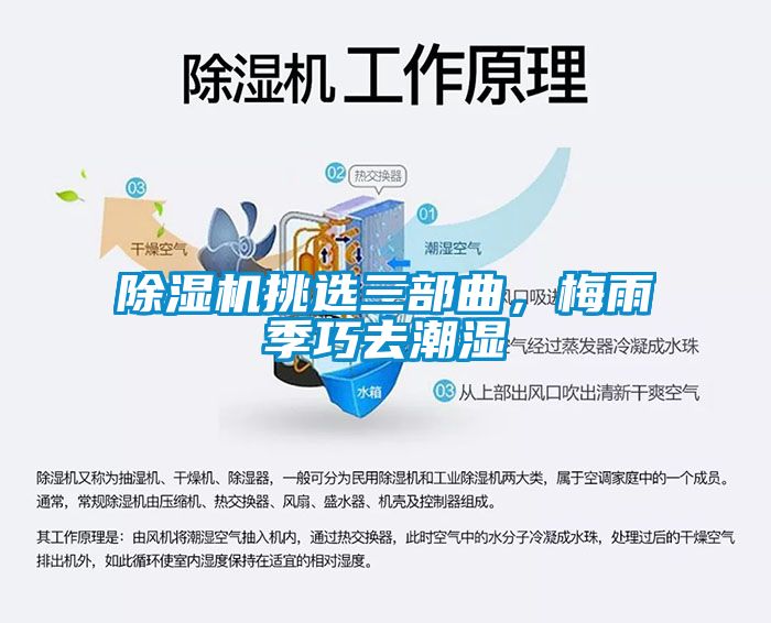 除湿机挑选三部曲，梅雨季巧去潮湿