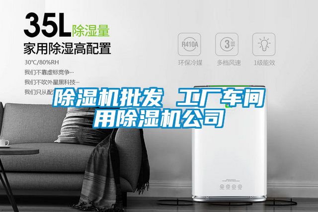 除湿机批发 工厂车间用除湿机公司