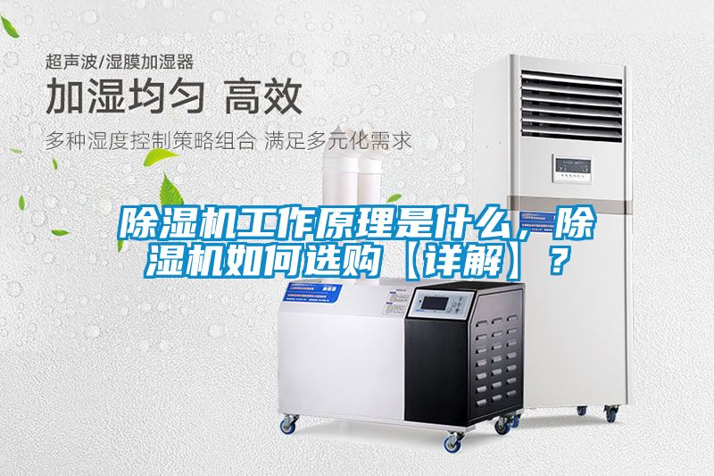 除湿机工作原理是什么，除湿机如何选购【详解】？