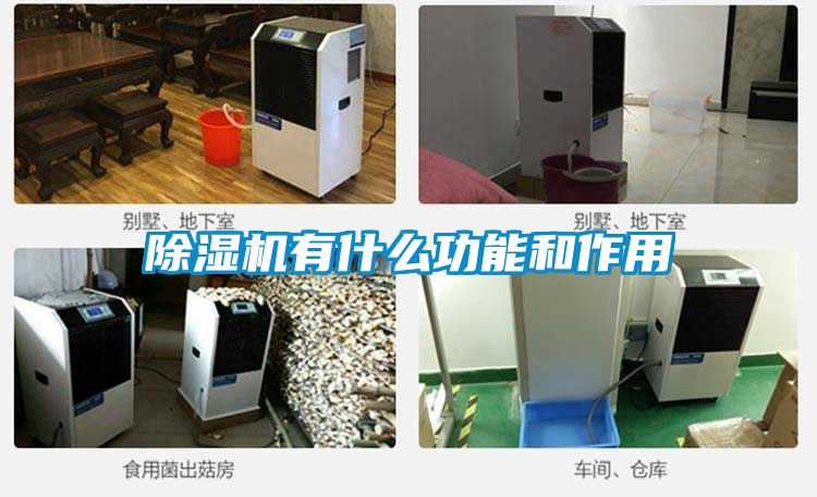 除湿机有什么功能和作用