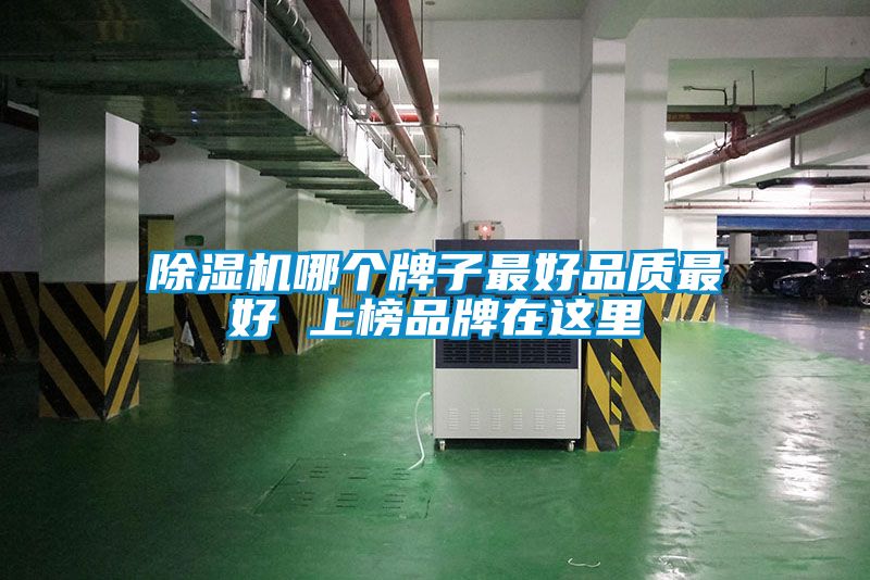 除湿机哪个牌子最好品质最好 上榜品牌在这里
