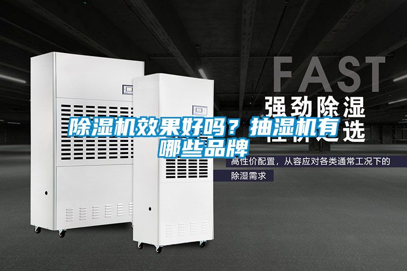 除湿机效果好吗？抽湿机有哪些品牌