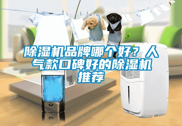 除湿机品牌哪个好？人气款口碑好的除湿机推荐