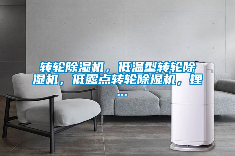 转轮除湿机，低温型转轮除湿机，低露点转轮除湿机，锂 ...