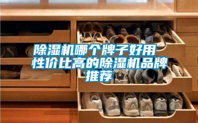 除湿机哪个牌子好用 性价比高的除湿机品牌推荐