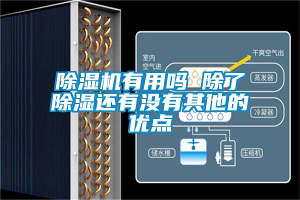 除湿机有用吗 除了除湿还有没有其他的优点